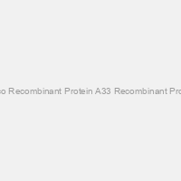 Glyco Recombinant Protein A33 Recombinant Protein